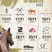 Experience the Heart of Argentine Polo Nov & Dec Pilar2025